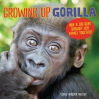 Growing Up Gorilla How A Zoo Baby Brought Her Family Together 1st Edition Clare Hodgson Meeker
