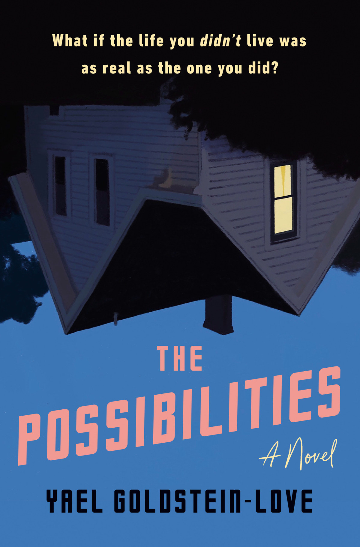 The Possibilities Yael Goldsteinlove
