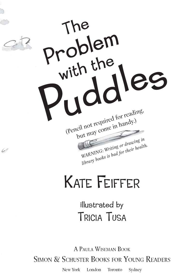 The Problem With The Puddles Kate Feiffer