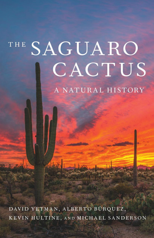 The Saguaro Cactus A Natural History David Yetman Alberto Brquez