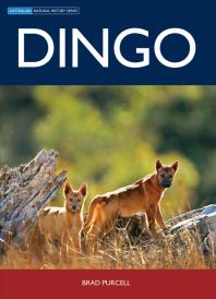 Dingo 1st Edition Brad Purcell