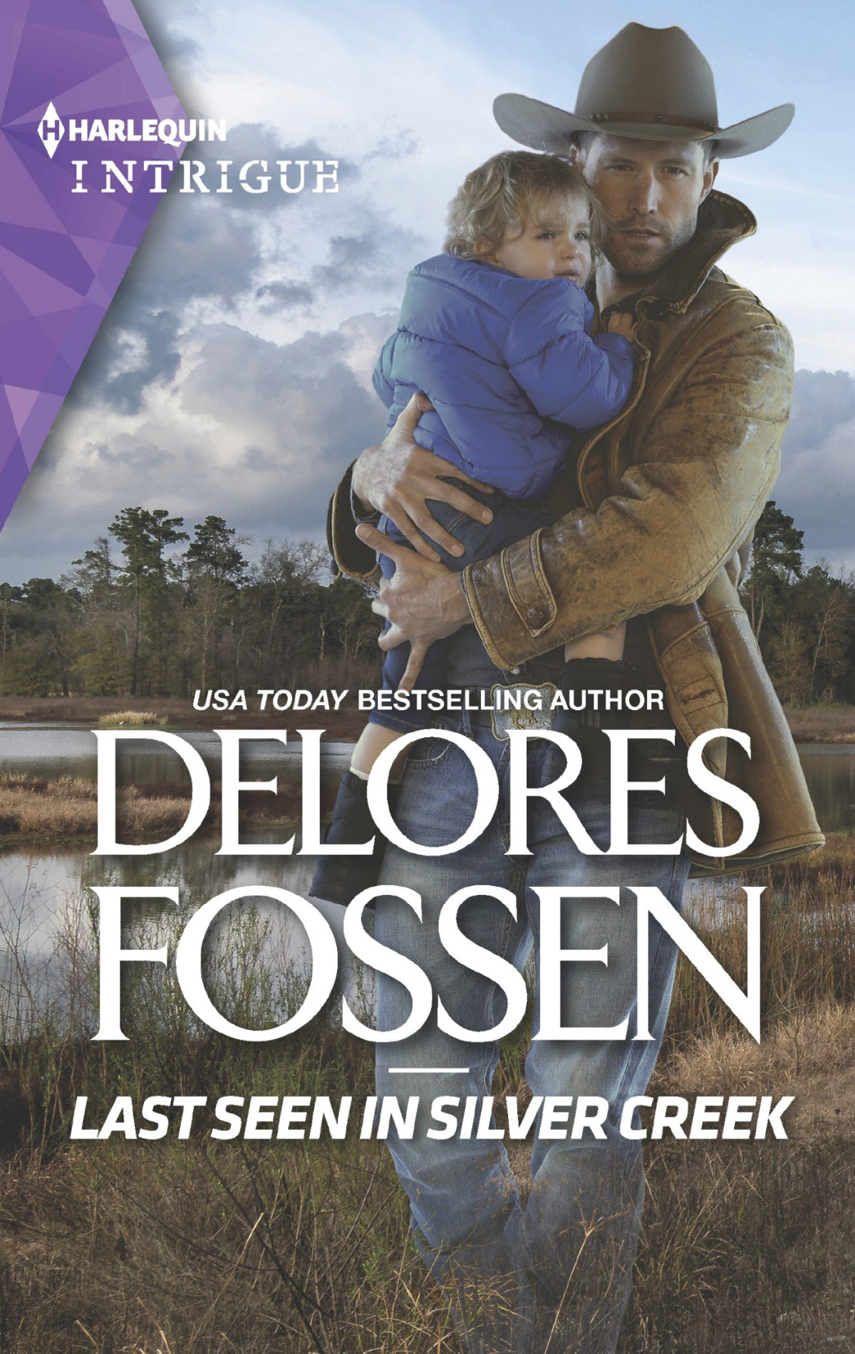 Last Seen In Silver Creek Delores Fossen