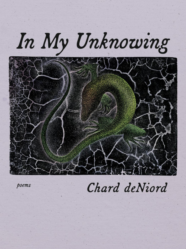 In My Unknowing Poems 1st Edition Chard Deniord