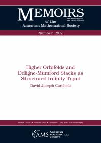 Higher Orbifolds And Delignemumford Stacks As Structured Infinitytopoi 1st Edition David Carchedi