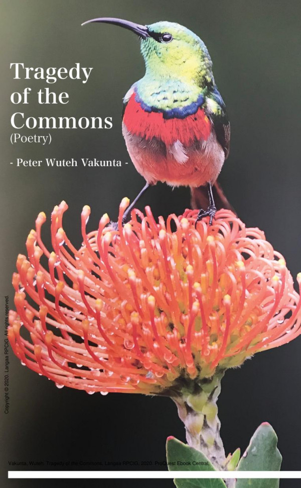 Tragedy Of The Commons 1st Edition Wuteh Vakunta