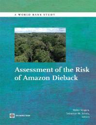 Assessment Of The Risk Of Amazon Dieback 1st Edition Walter Vergara Sebastian Martin Scholz
