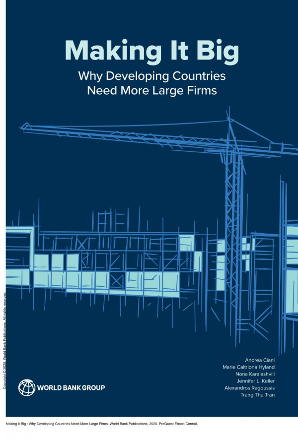 Making It Big Why Developing Countries Need More Large Firms 1st Edition Andrea Ciani Marie Caitriona Hyland Nona Karalashvili Jennifer L Keller Alexandros Ragoussis Trang Thu Tran
