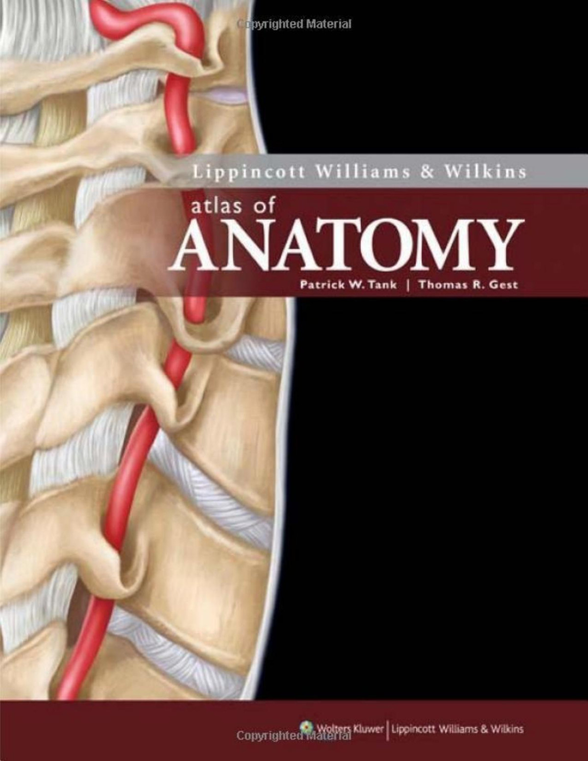Lippincott Williams Wilkins Atlas Of Anatomy Patrick W Tank