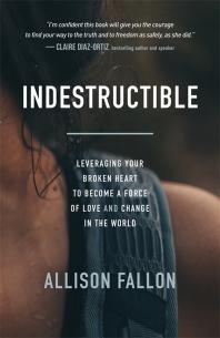 Indestructible Leveraging Your Broken Heart To Become A Force Of Love And Change In The World Allison Fallon