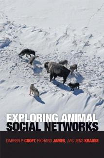 Exploring Animal Social Networks 1st Edition Darren P Croft Richard James Jens Krause