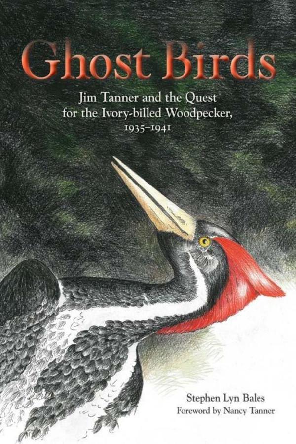 Ghost Birds Jim Tanner And The Quest For The Ivorybilled Woodpecker 19351941 1st Edition Stephen Lyn Bales Nancy Tanner