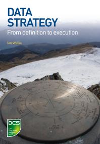 Data Strategy From Definition To Execution 1st Edition Ian Wallis