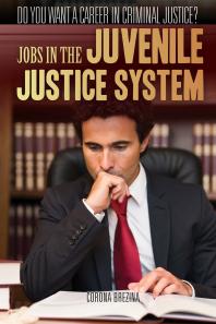Jobs In The Juvenile Justice System 1st Edition Corona Brezina