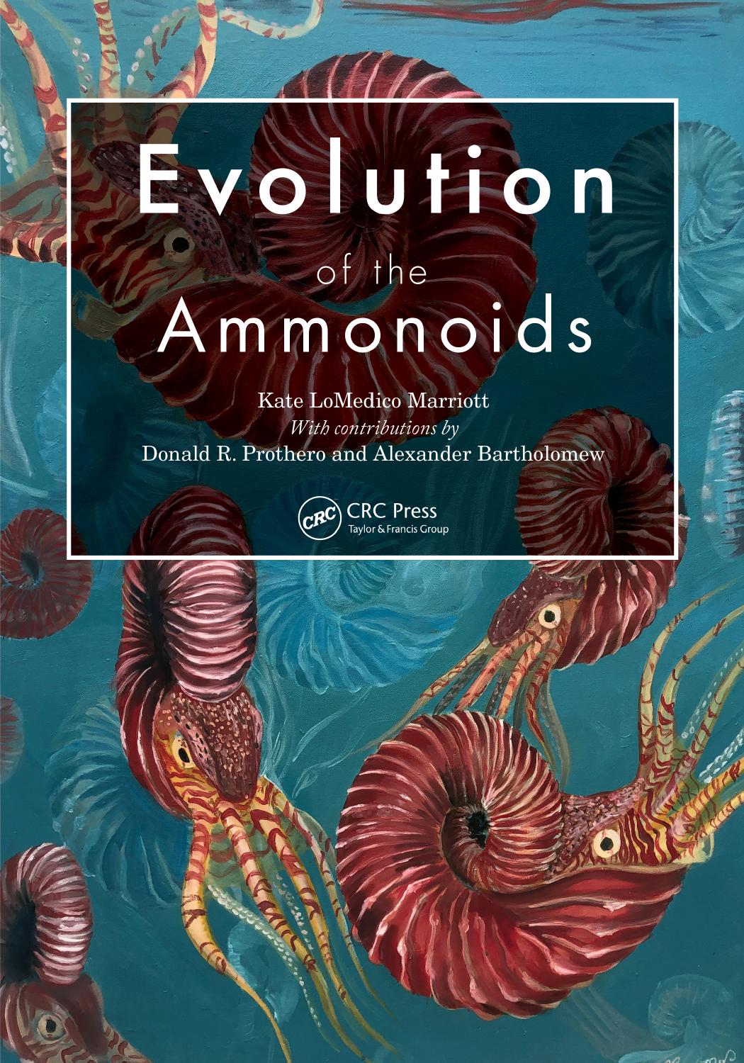 Evolution Of The Ammonoids 1st Edition Kate Lomedico Marriott