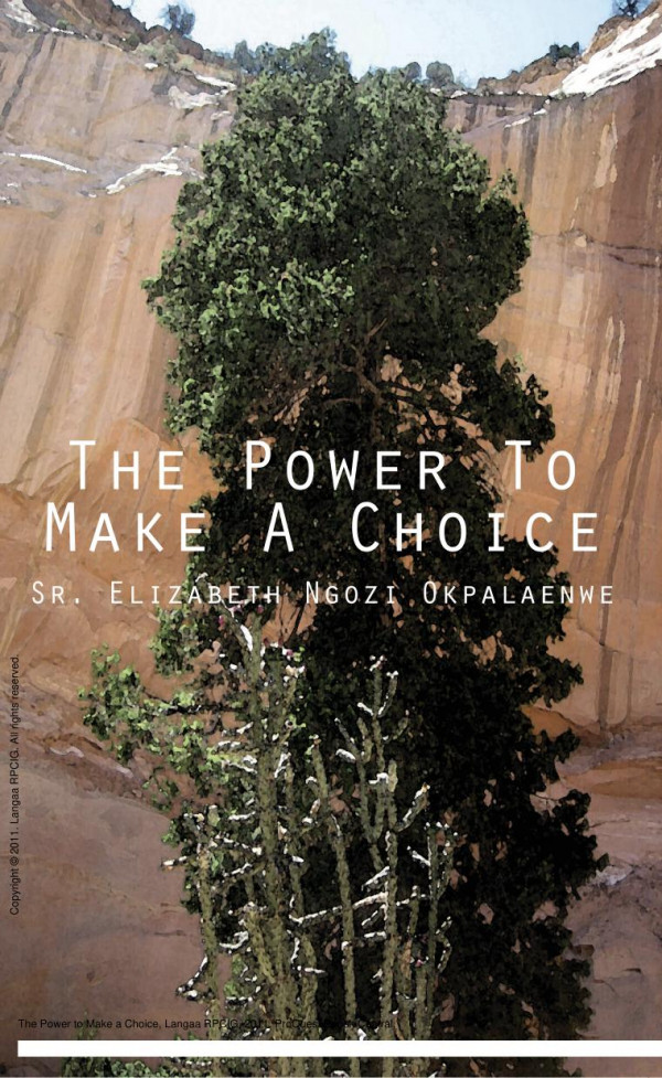 The Power To Make A Choice 1st Edition Ngozi Okpalaenwe Ngozi Okpalaenwe