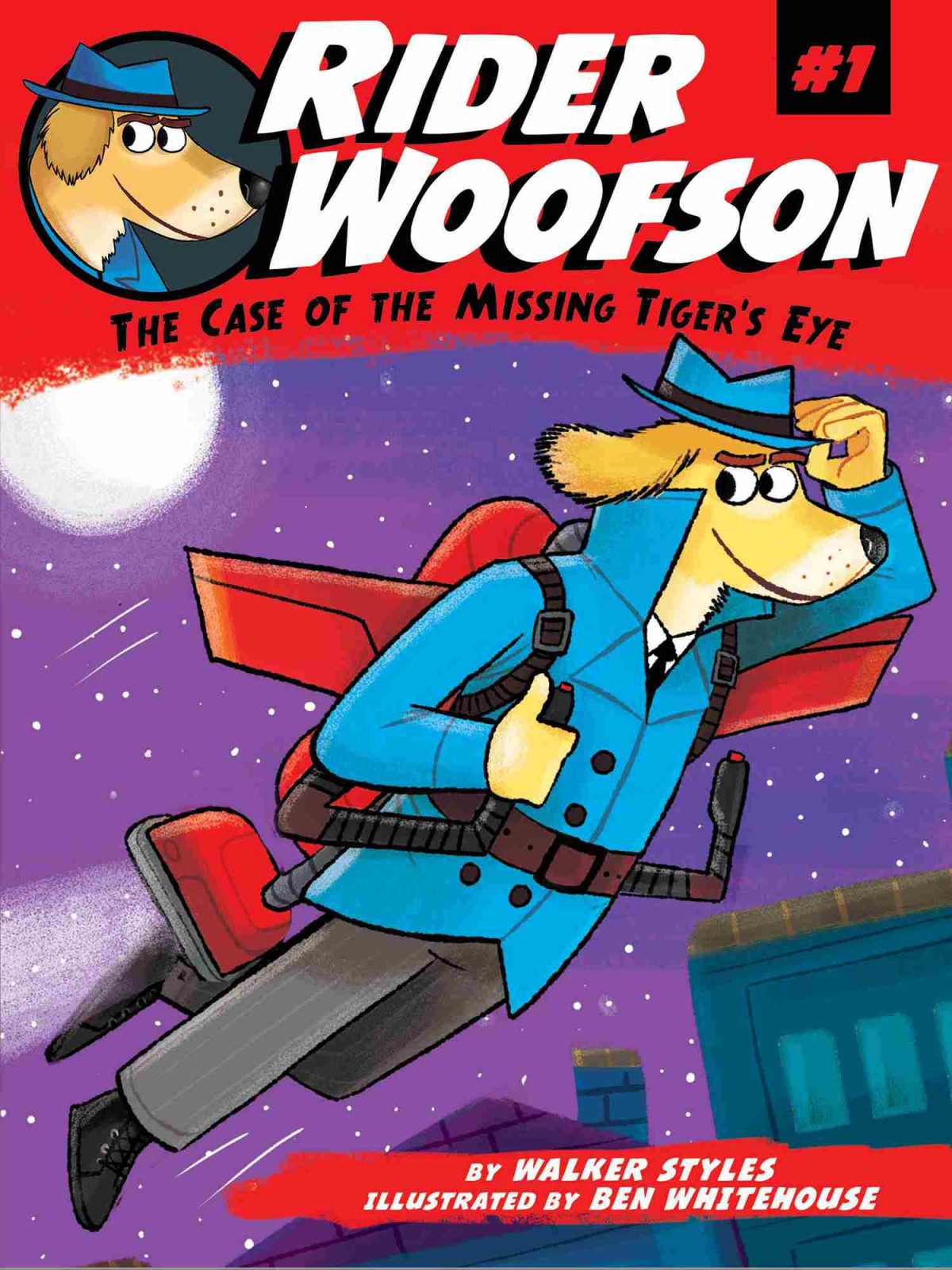 The Case Of The Missing Tigers Eye 1st Edition Walker Styles