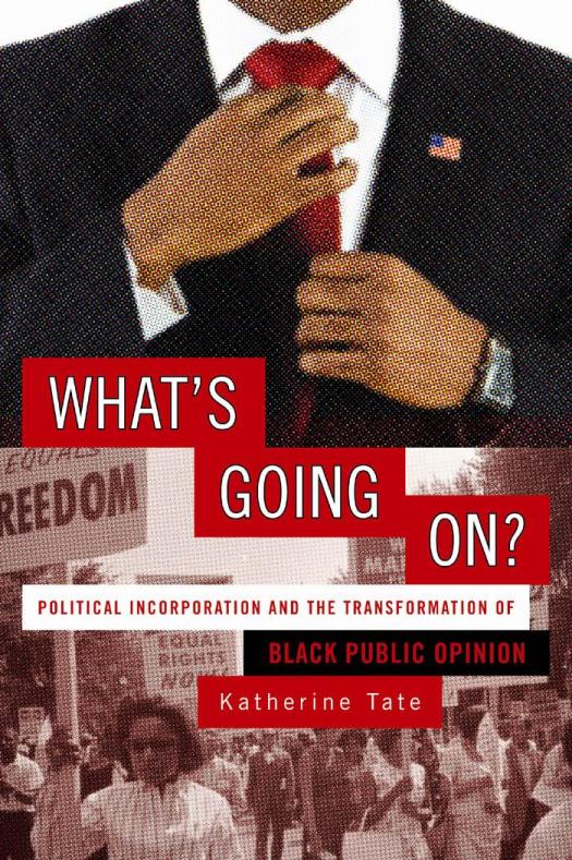 Whats Going On Political Incorporation And The Transformation Of Black Public Opinion 1st Edition Katherine Tate
