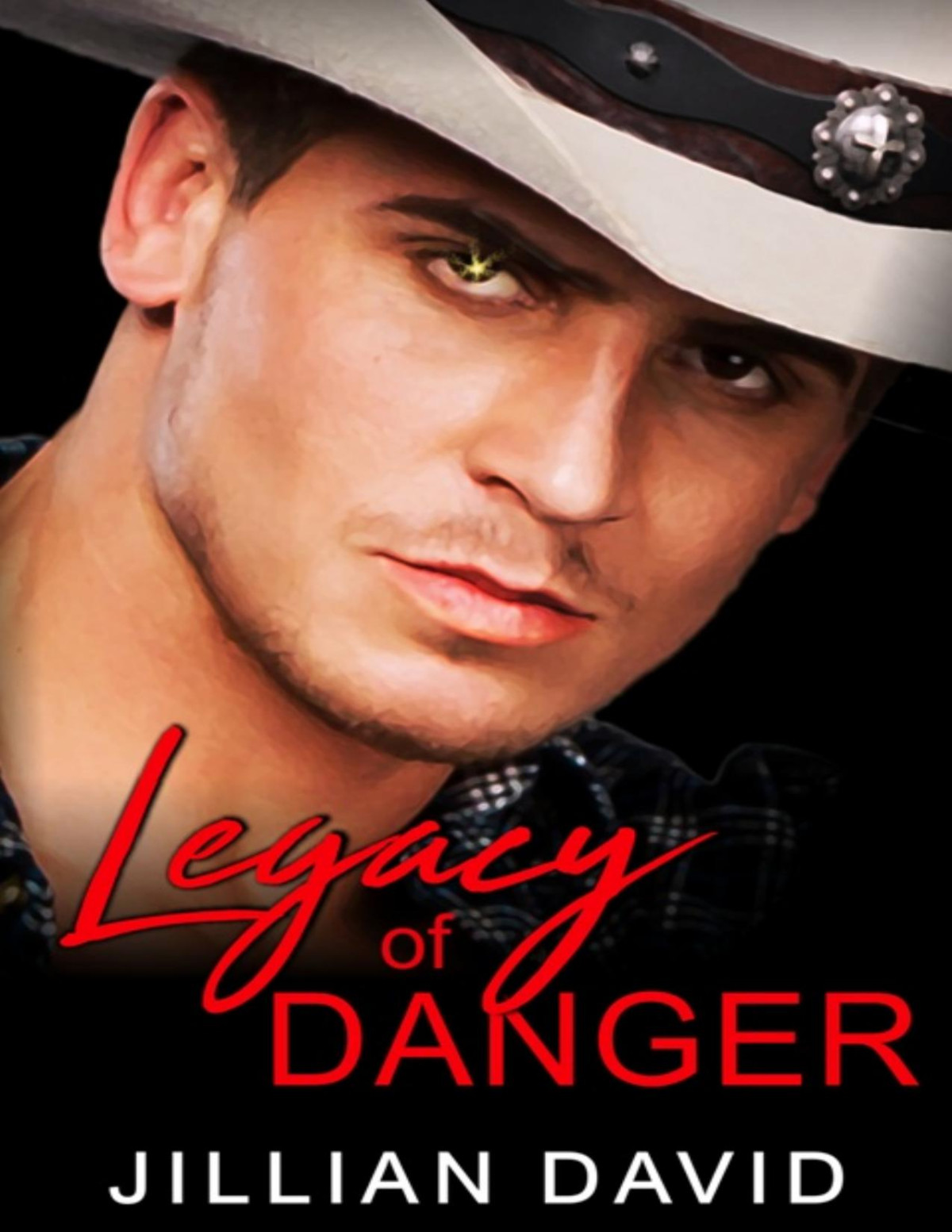 Legacy Of Danger Jillian David