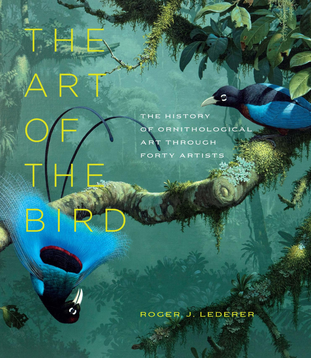 The Art Of The Bird The History Of Ornithological Art Through Forty Artists Roger J Lederer