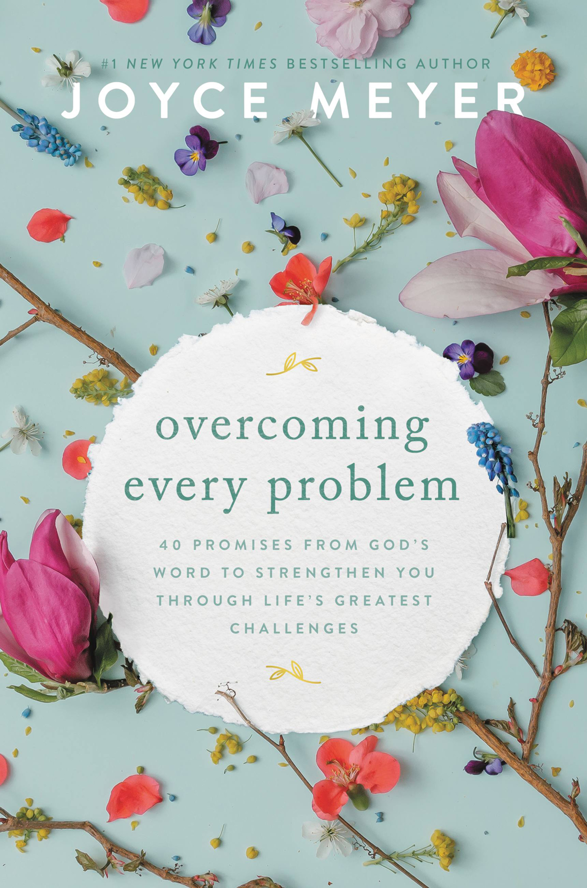 Overcoming Every Problem 40 Promises From Gods Word To Strengthen Through Lifes Greatest Challenges Joyce Meyer