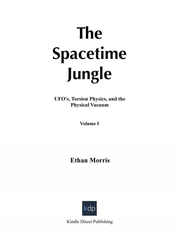 The Spacetime Jungle Ethan J Morris