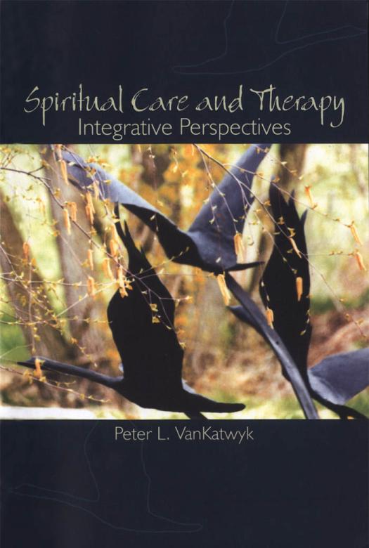 Spiritual Care And Therapy Integrative Perspectives 1st Edition Peter L Vankatwyk