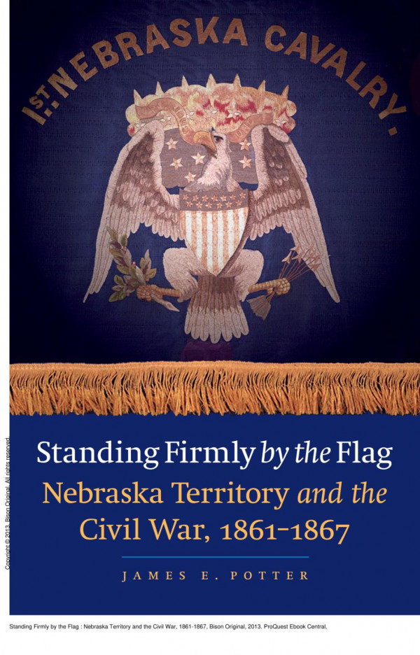 Standing Firmly By The Flag Nebraska Territory And The Civil War 18611867 1st Edition James E Potter