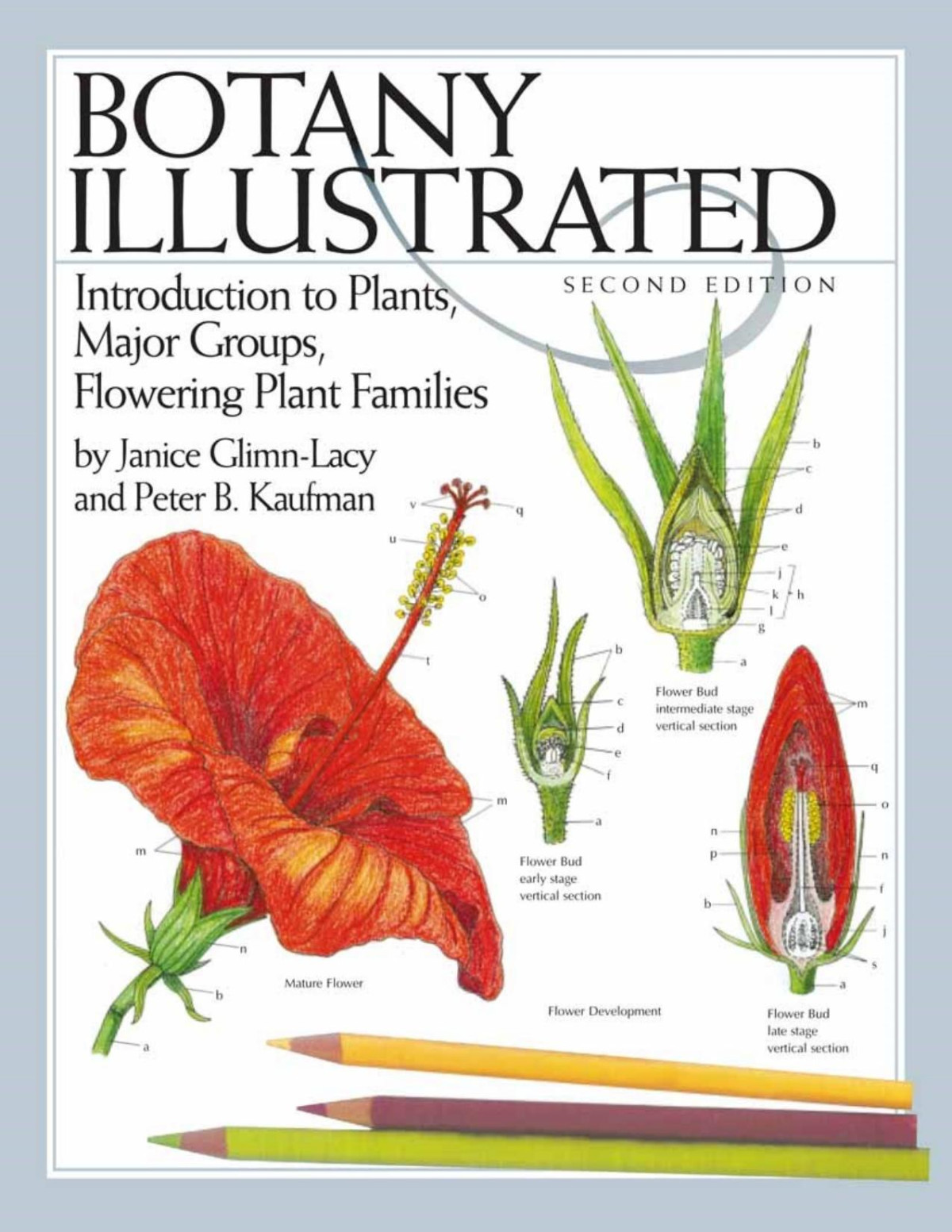 Botany Illustrated Introduction To Plants Major Groups Flowering Plant Families Janice Glimnlacy Peter B Kaufman