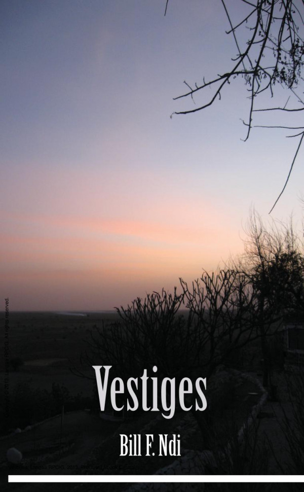 Vestiges 1st Edition F Ndi