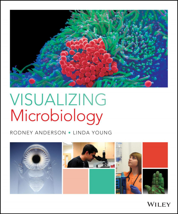 Visualizing Microbiology A Healthy Perspective Rodney Anderson