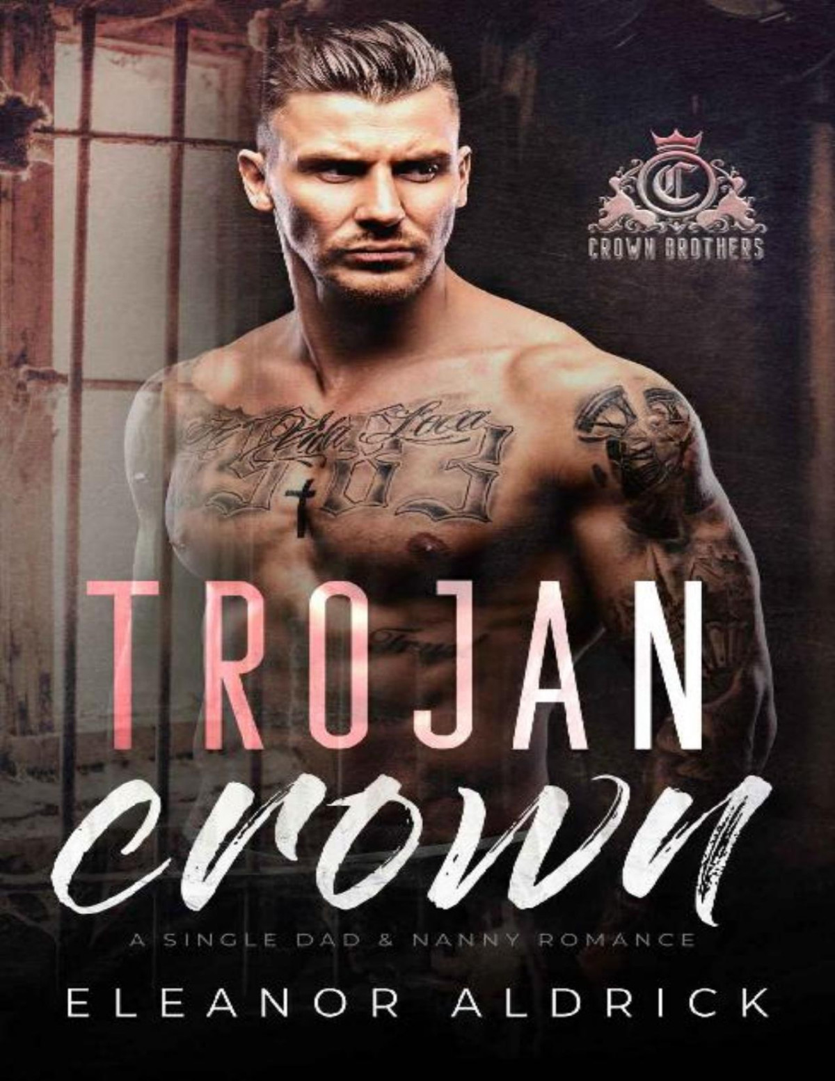 Trojan Crown A Single Dad Age Gap Romance Crown Brothers Book 2 Eleanor Aldrick