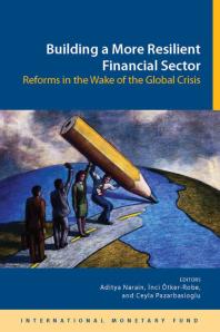 Building A More Resilient Financial Sector Reforms In The Wake Of The Global Crisis 1st Edition Aditya Narain Inci Tker Ceyla Pazarbasioglu