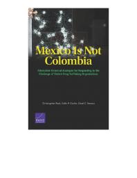 Mexico Is Not Colombia Alternative Historical Analogies For Responding To The Challenge Of Violent Drugtrafficking Organizations 1st Edition Christopher Paul Colin P Clarke Chad C Serena