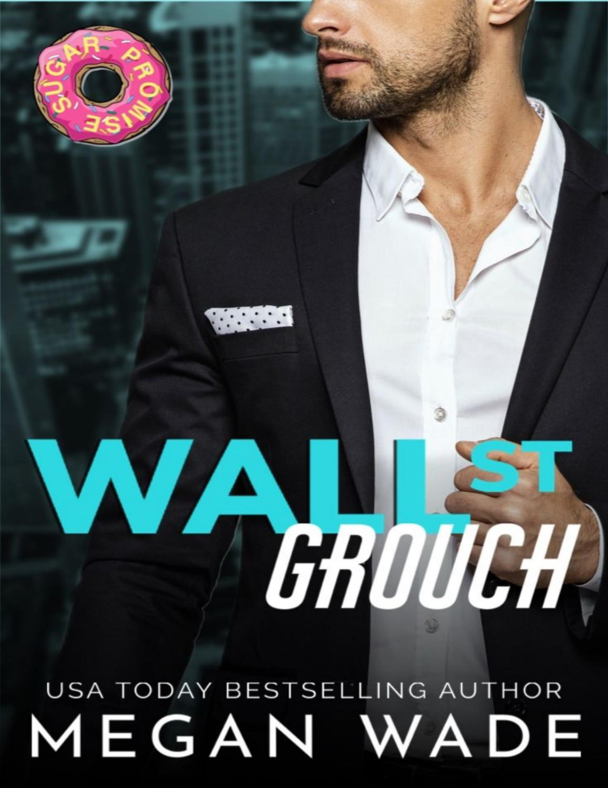 Wall St Grouch The Curves Of Wall St Book 5 1st Edition Megan Wade