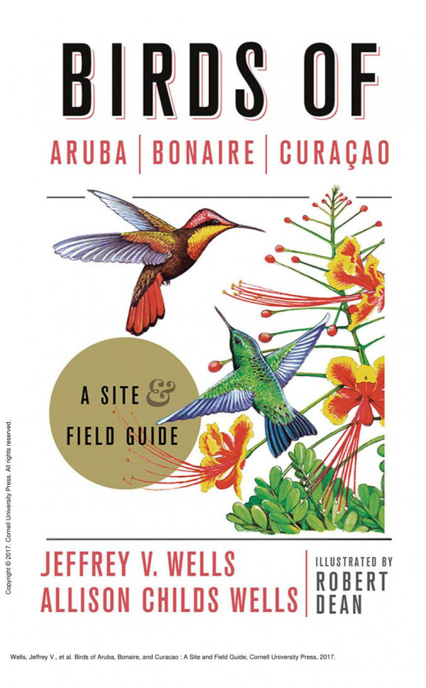 Birds Of Aruba Bonaire And Curacao A Site And Field Guide 1st Edition Jeffrey V Wells Allison Childs Wells Robert Dean