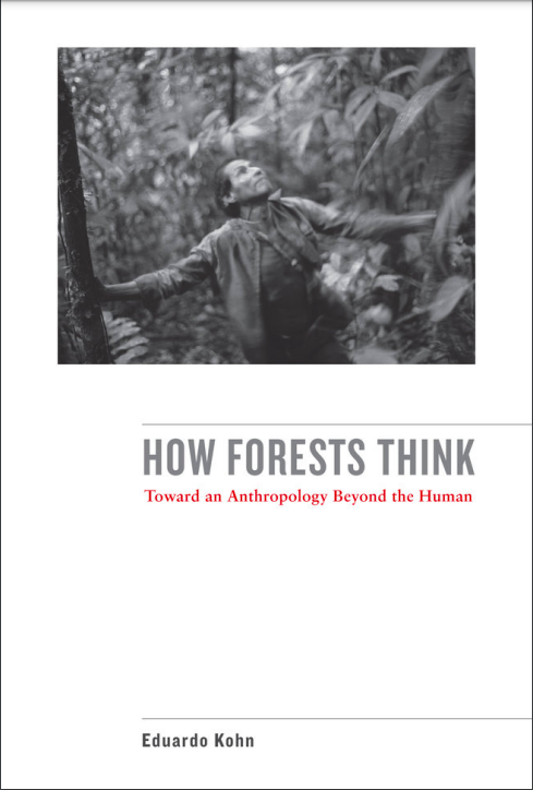 How Forests Think Toward An Anthropology Beyond The Human 1st Edition Eduardo Kohn