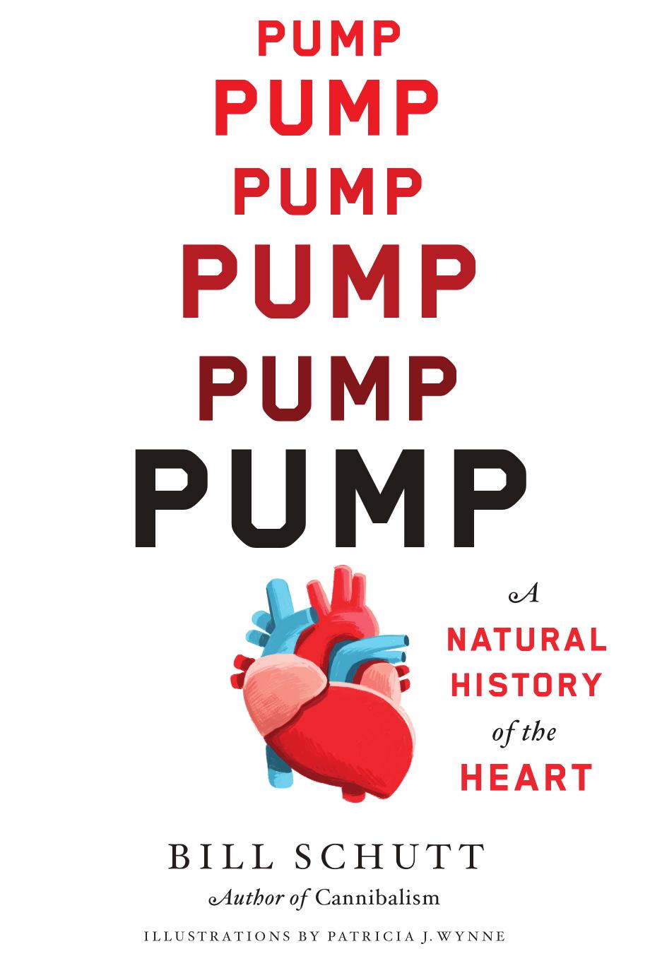 Pump A Natural History Of The Heart Bill Schutt