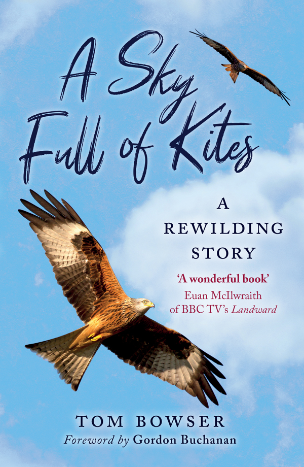 A Sky Full Of Kites A Rewilding Story Tom Bower