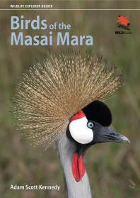 Birds Of The Masai Mara Adam Scott Kennedy