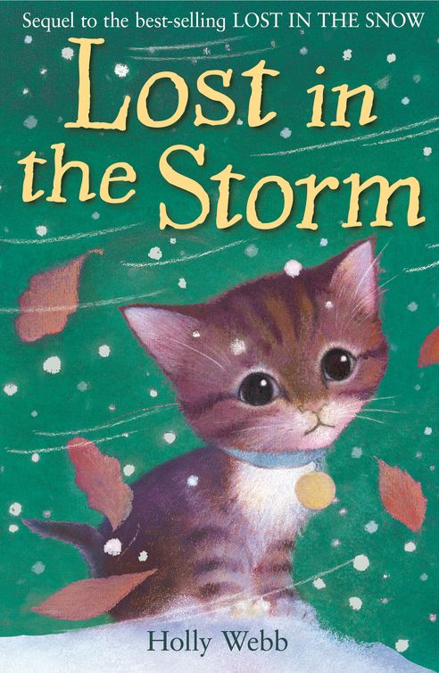 Lost In The Storm Holly Webb