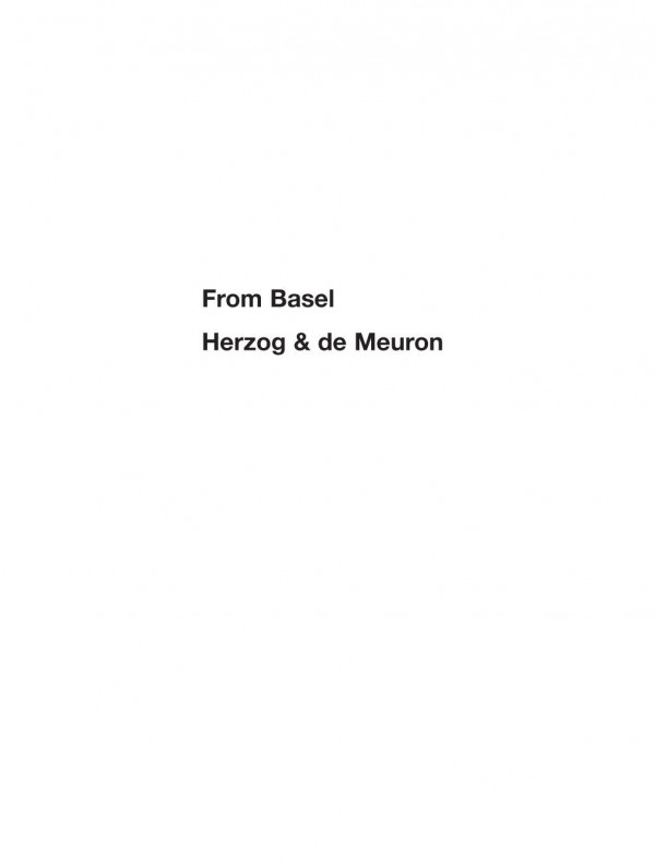 From Basel Herzog And De Meuron 1st Edition Jeanfranois Chevrier Lia Pijollet Georg Dupin