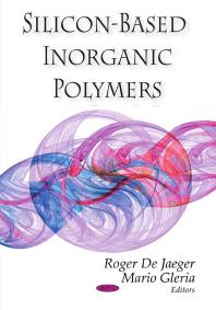 Siliconbased Inorganic Polymers 1st Edition Roger De Jaeger Mario Gleria