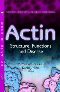 Actin Structure Functions And Disease Structure Functions And Disease 1st Edition Victoria A Consuelas Daniel J Minas