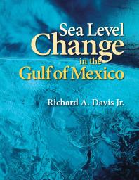 Sealevel Change In The Gulf Of Mexico 1st Edition Richard A Davis