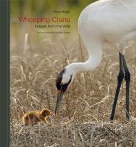 Whooping Crane Images From The Wild 1st Edition Klaus Nigge Krista Schlyer