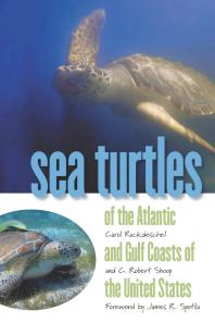 Sea Turtles Of The Atlantic And Gulf Coasts Of The United States 1st Edition Carol Ruckdeschel C Robert Shoop Meg Hoyle
