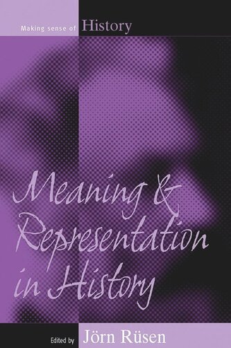 Meaning And Representation In History Jrn Rsen Editor