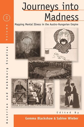 Journeys Into Madness Mapping Mental Illness In The Austrohungarian Empire Gemma Blackshaw Editor Sabine Wieber Editor