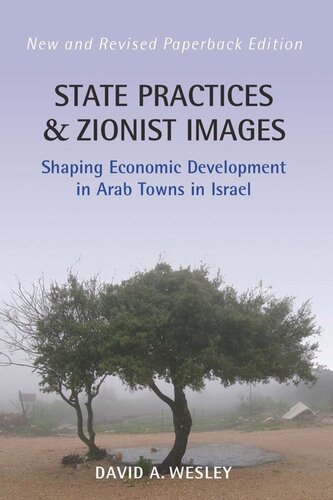 State Practices And Zionist Images Shaping Economic Development In Arab Towns In Israel David A Wesley