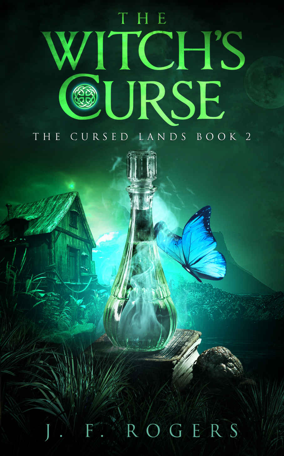 The Witchs Curse 1st Edition J F Rogers